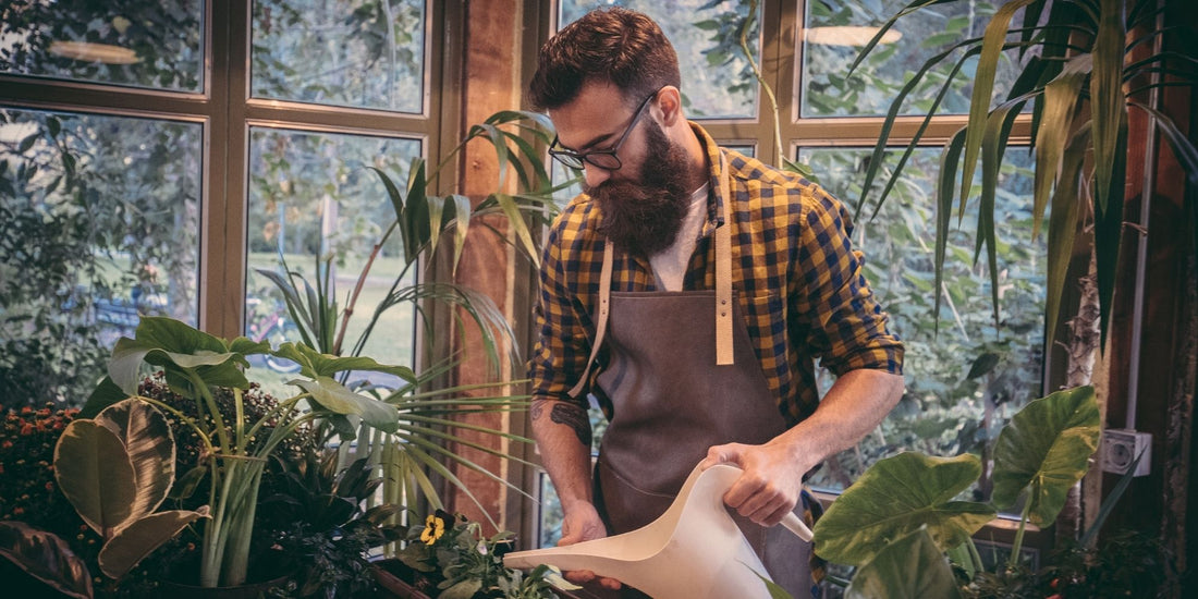 Cuidado de plantas en invierno