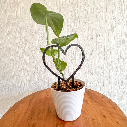 Tutor Corazón para Plantas de Interior - Diseño Único Impreso en 3D en PLA+ Ecológico 🌿💖